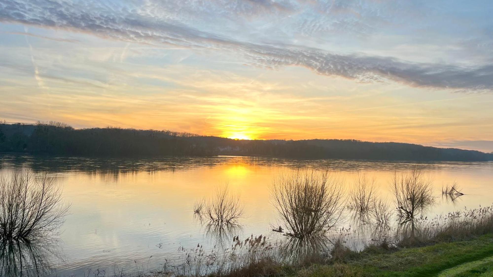 Un Mirage Tropical En Bord De Loire, Et Detente Saint-Clement-des-Levees